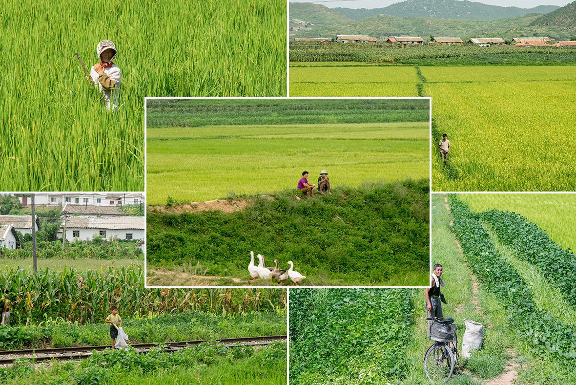 Inside North Korea photos