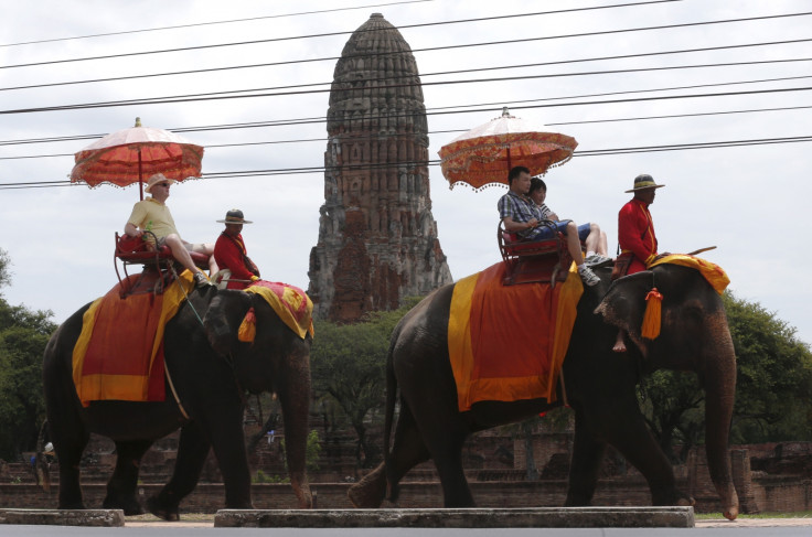 Thailand elephant