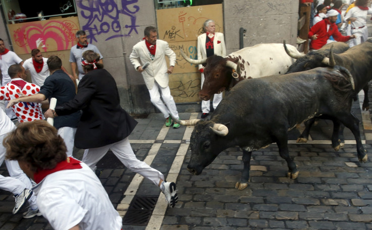 bulls Spain Pamplona fatalities