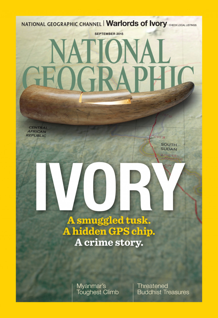 nat geo ivory trade