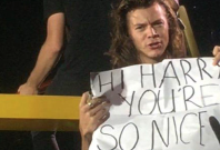 Harry Styles sign