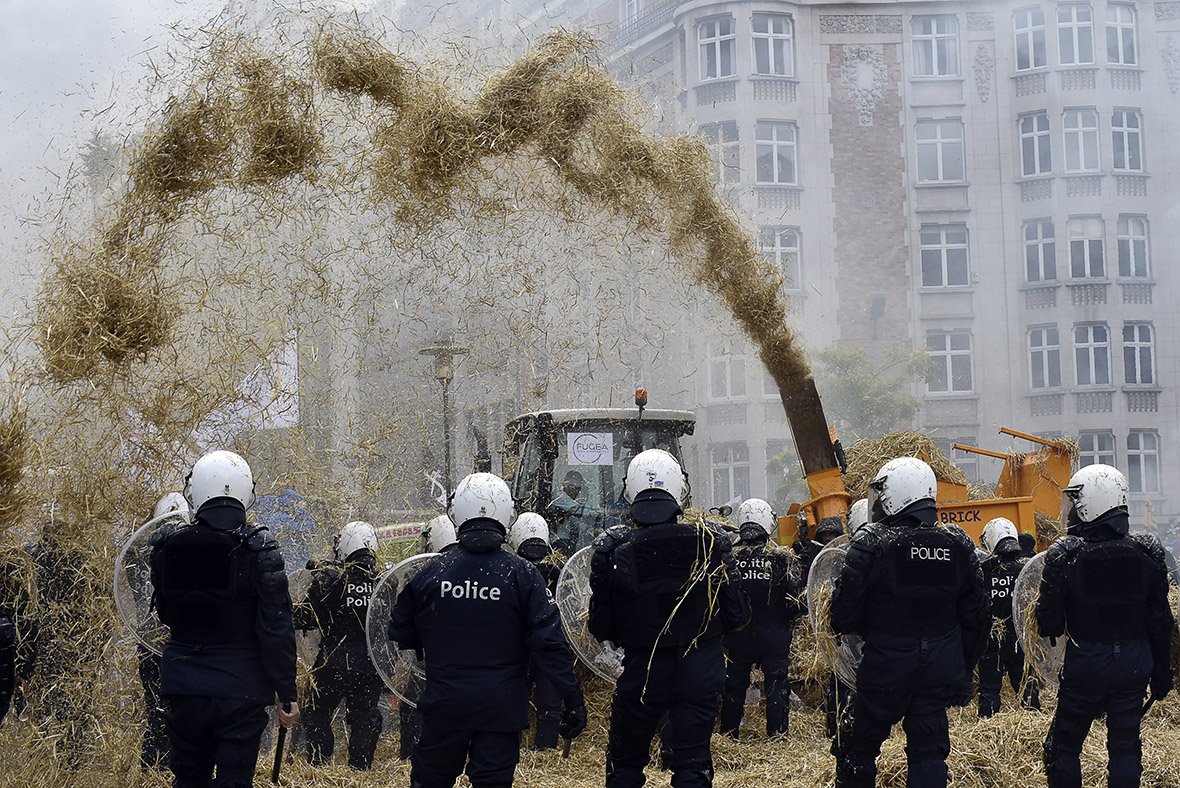 Brussels farmers protest