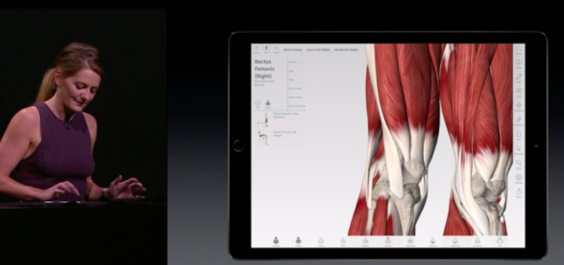 Apple Pencil 3D Medical Anatomy