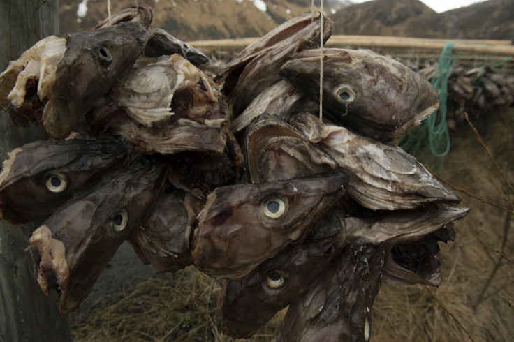 Fish heads