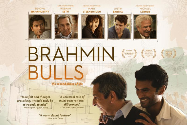 Brahmin Bulls