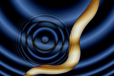 worm brains controlled sound waves