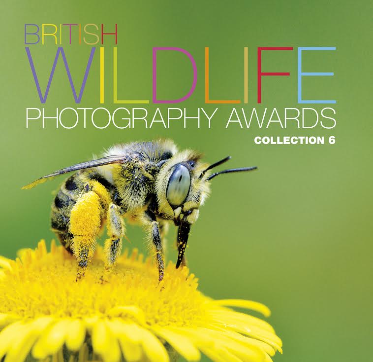 British Wildlife Photography Awards 2015: The Best Of Britain By ...