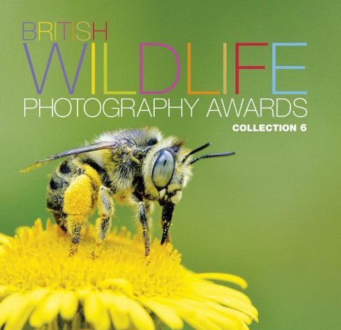 British Wildlife Photography Awards 2015