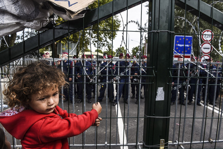 Migrants refugees Hungary border Horgos