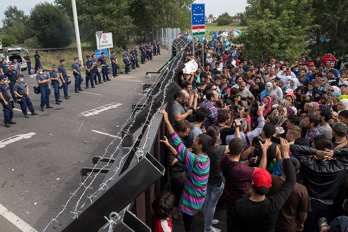 Migrants refugees Hungary border Horgos