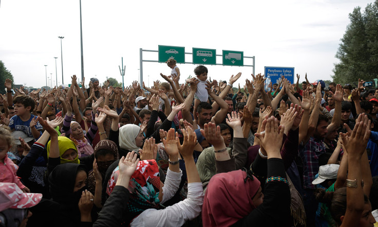 Migrants refugees Hungary border Horgos