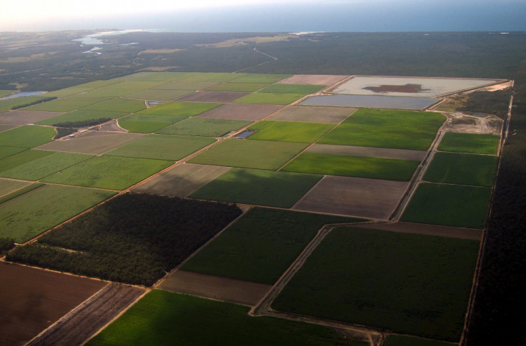 Farmland, Bundaberg