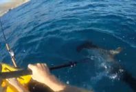 Hammerhead shark kayak