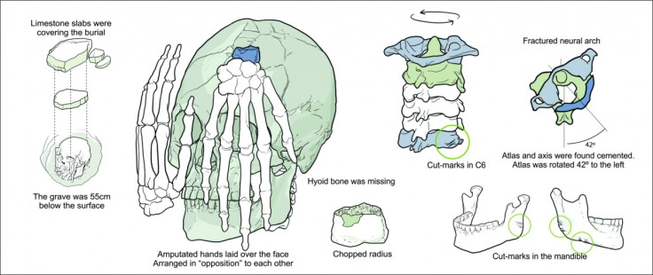 a schematic representation of Burial 26 from Lapa do Santo.