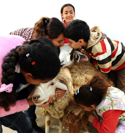 Tunisian children with sheep