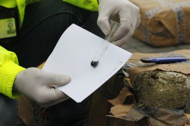 A marijuana package fell from the skydestroyingadogkennelonthe