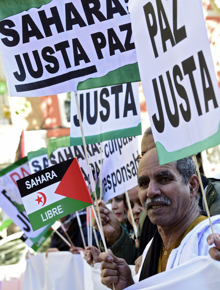 Protesters for Western Saharan independence in Morocco