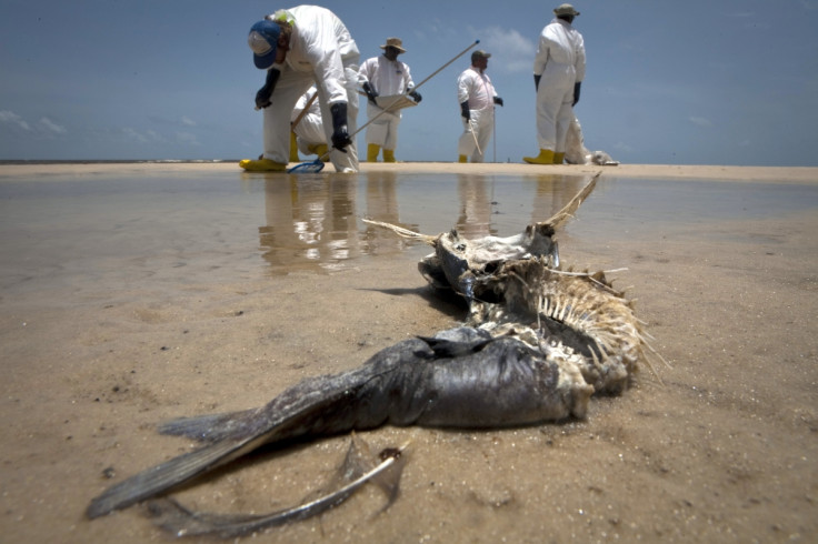 Deepwater Horizon oil spill