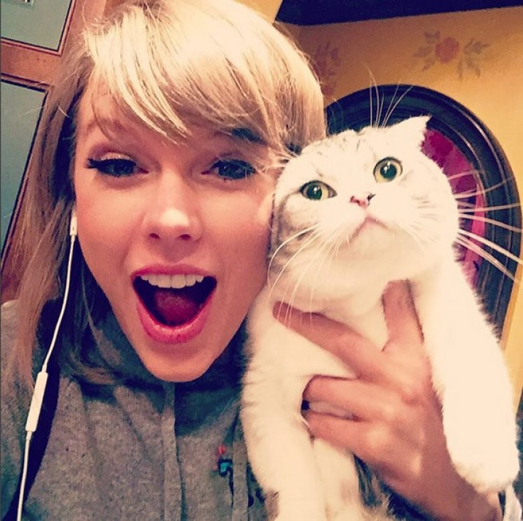 Taylor Swift and her cat on Instagram