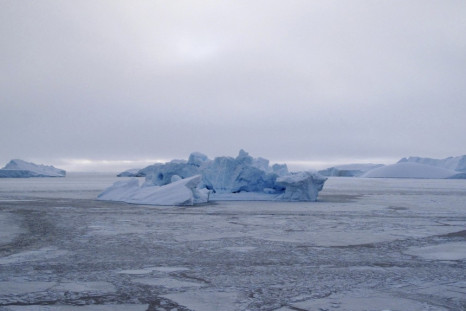 Arctic Sea Ice