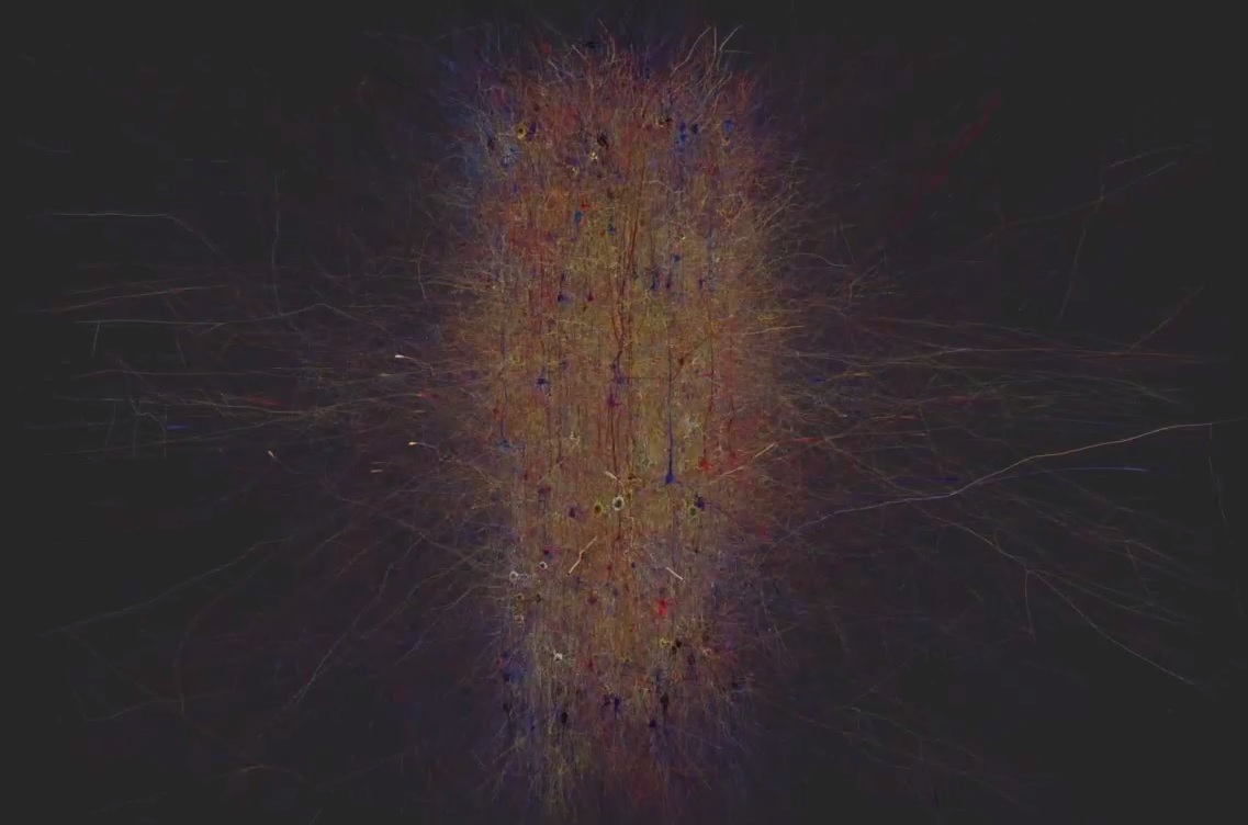 human brain project AI mapped