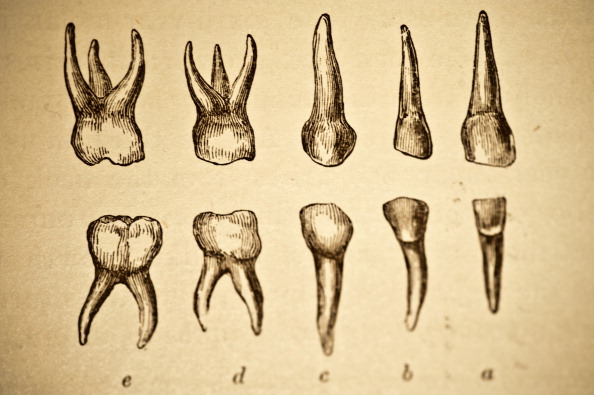 Teeth found in China point to arrival of Homo sapiens first in Asia ...