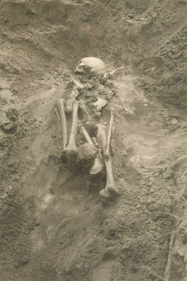 bronze age plague