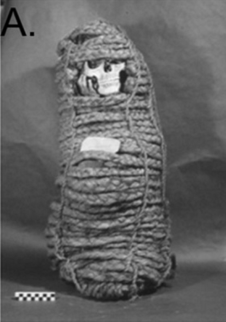 incan mummy antibiotic resistance