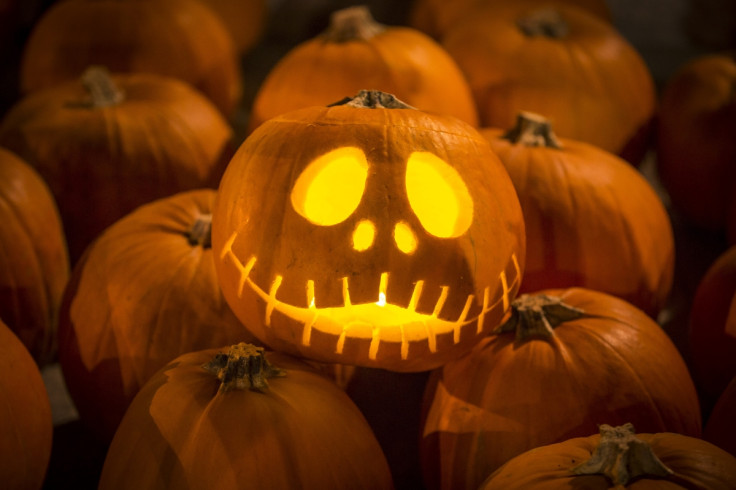 Halloween 2015 pumpkins jack o'lantern