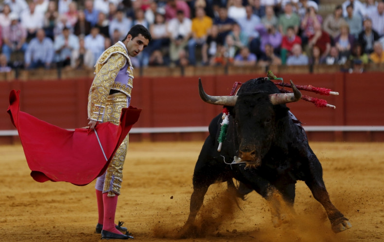 EU vote bullfighting 