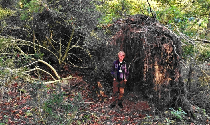 eco-home stonehenge