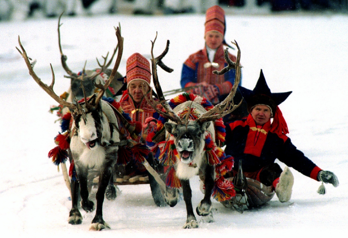 COP21: How climate change is destroying the Sami way of life in Scandinavia