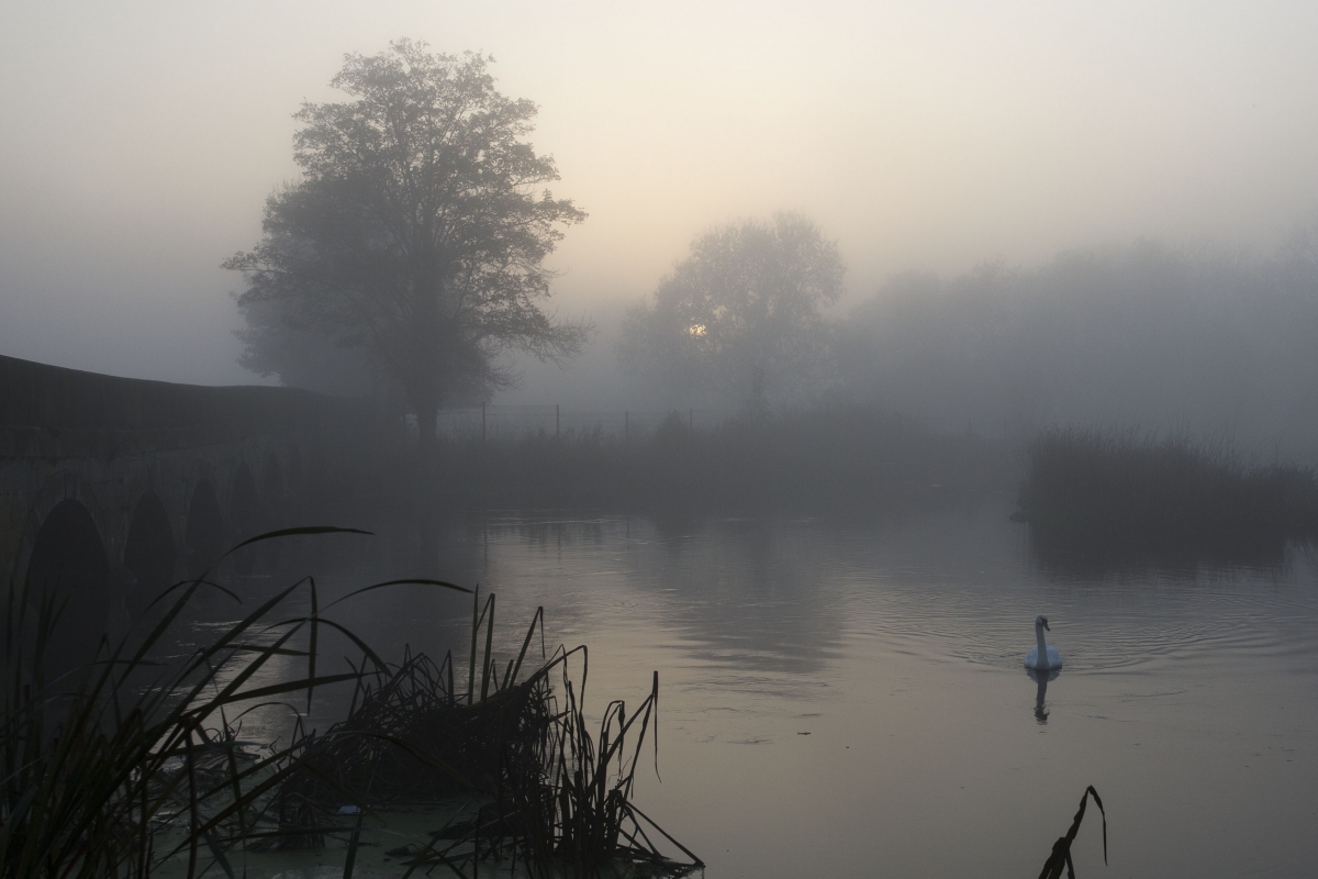 What Is Fog And Why Has It Descended Over The Uk