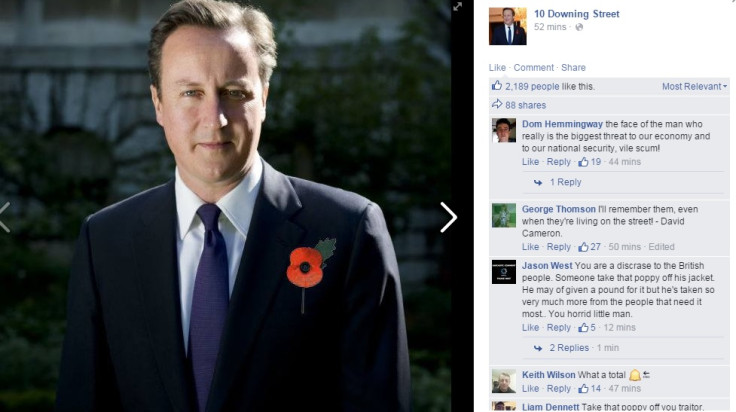 David Cameron, poppy