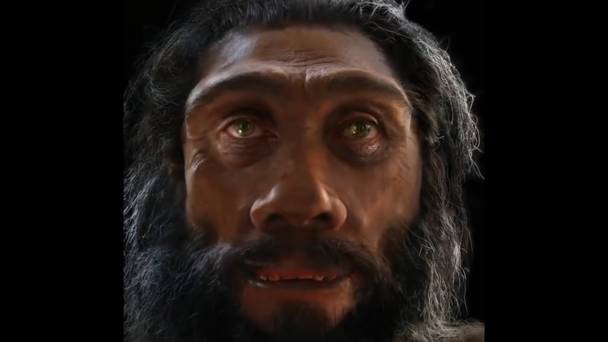 Human evolution Human evolution