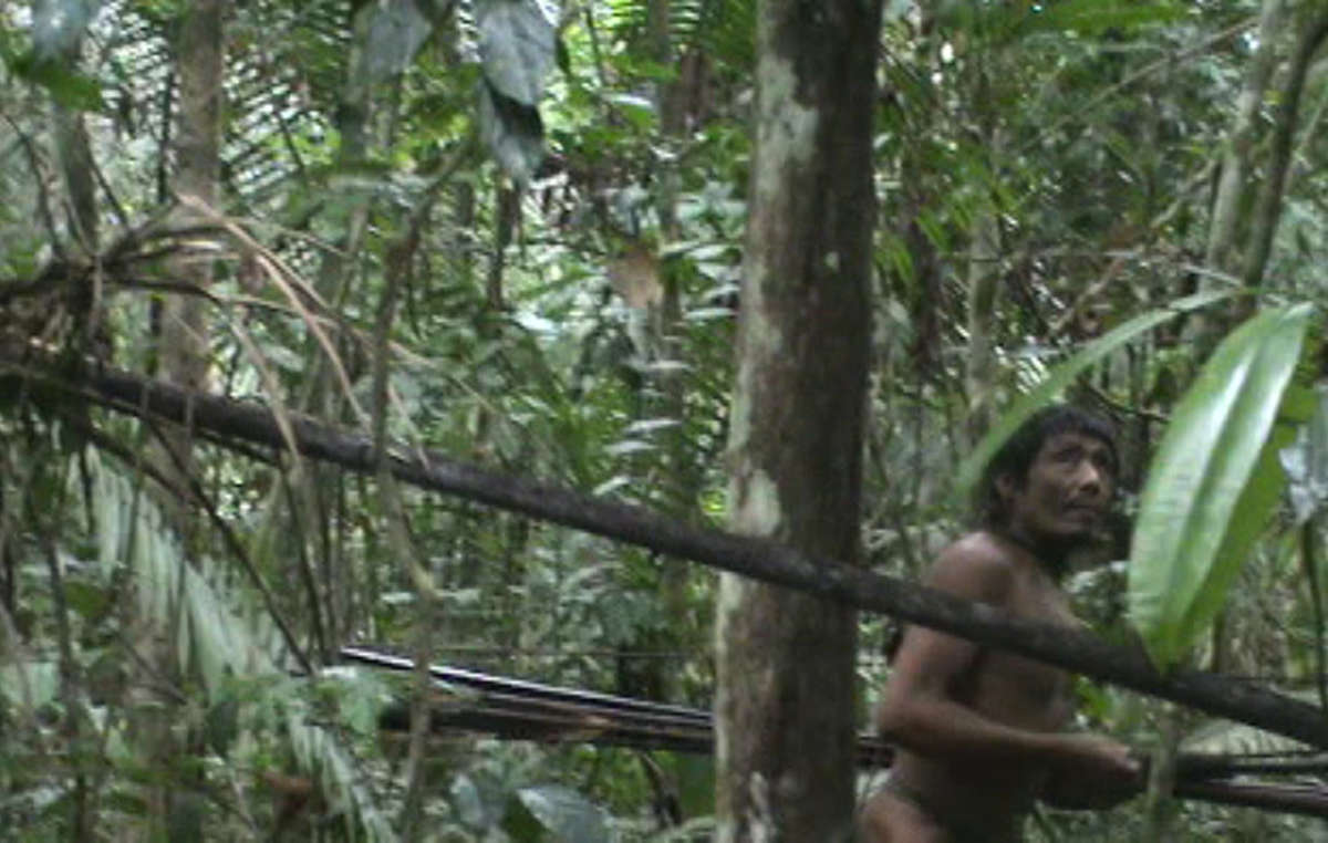 Brazil seizes illegal loggers from uncontacted Kawahiva tribe's land in