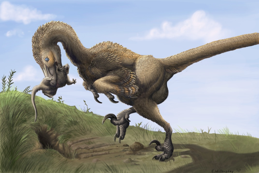 Dinosaur discovery Rare fossils of giant feathered raptor