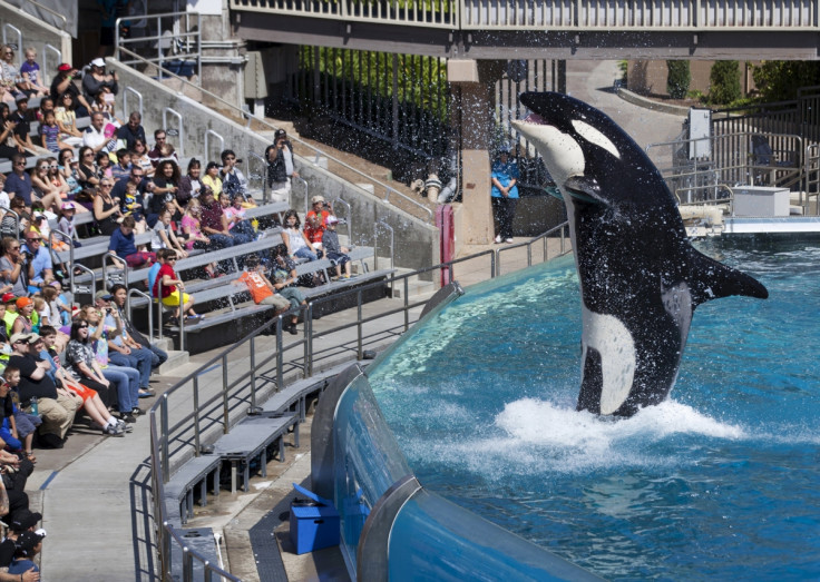 SeaWorld, San Diego