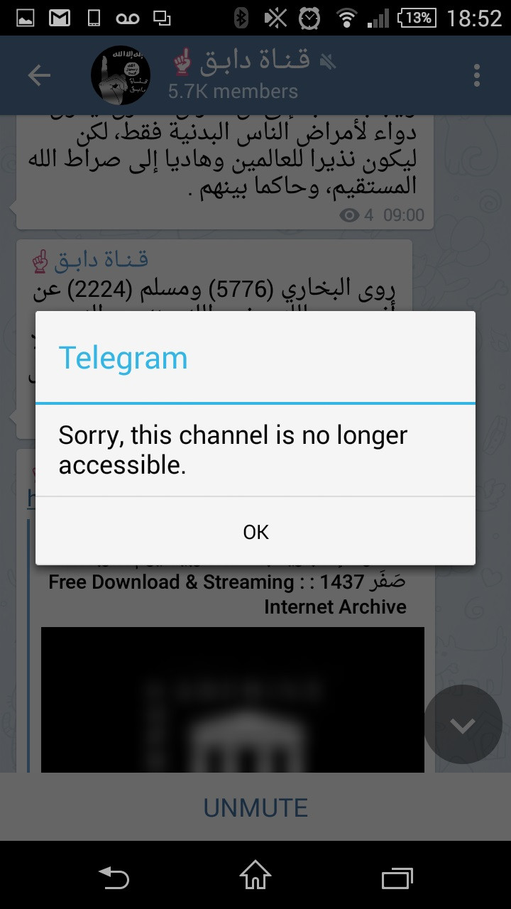 Telegram ISIS islamic state Paris