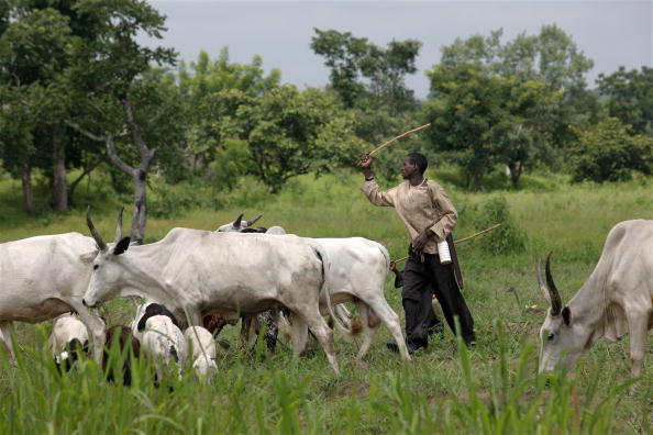 Fulani herdsmen Nigeria