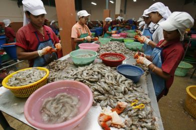 shrimp workers thailand
