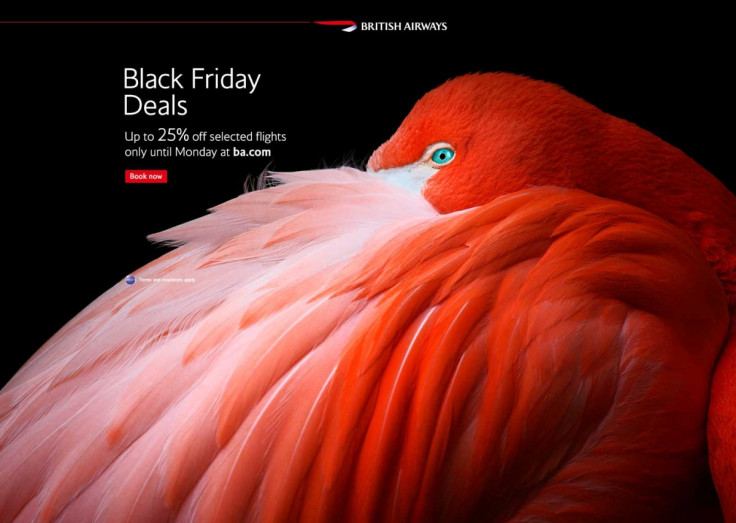 Black Friday Luxury Discounts