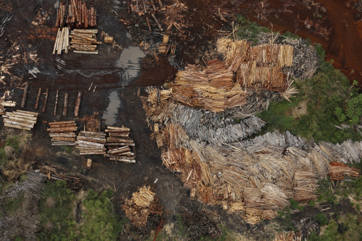 Amazon logging