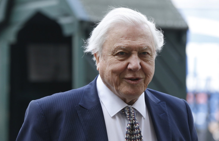 David Attenborough March 2015