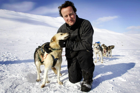 David Cameron husky