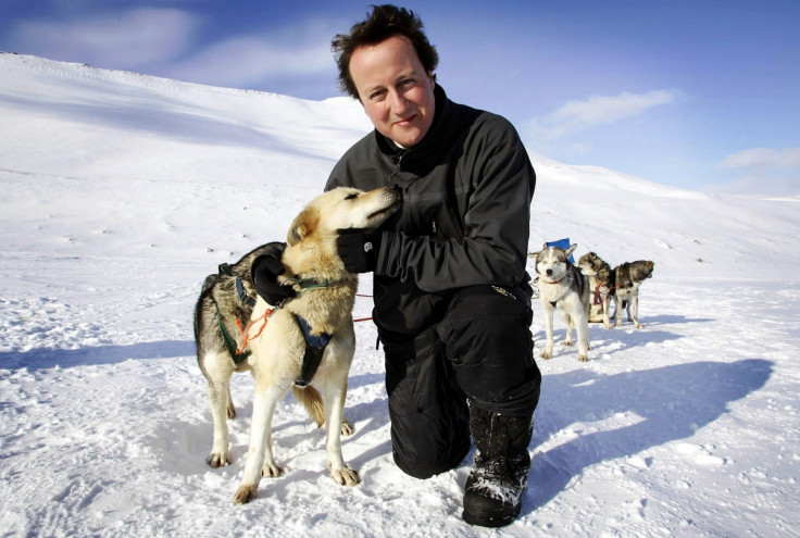 David Cameron husky