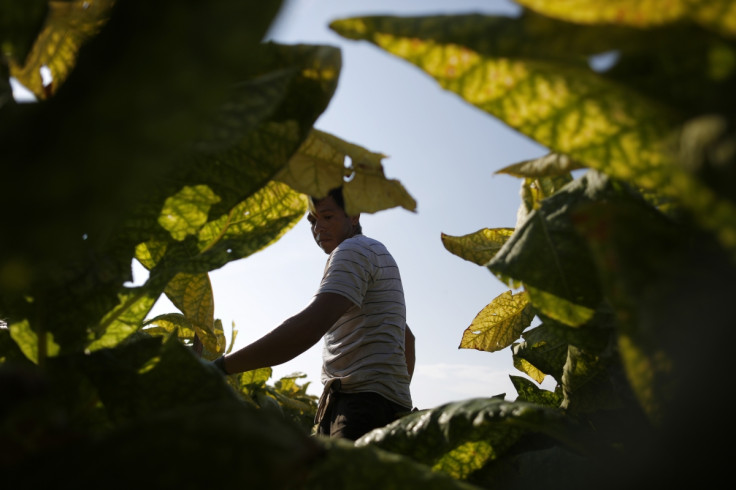 US Tobacco firms put teenagers at risk