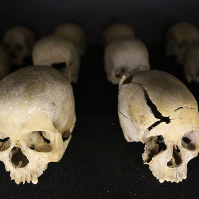Rwandan genocide