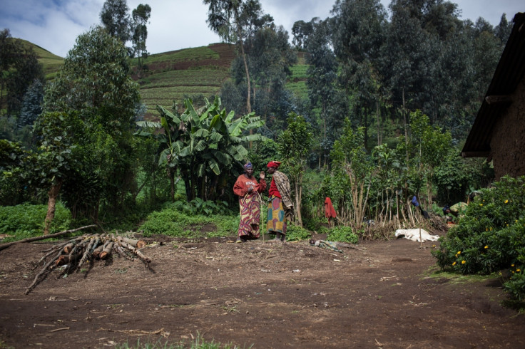 Armed groups in DRC