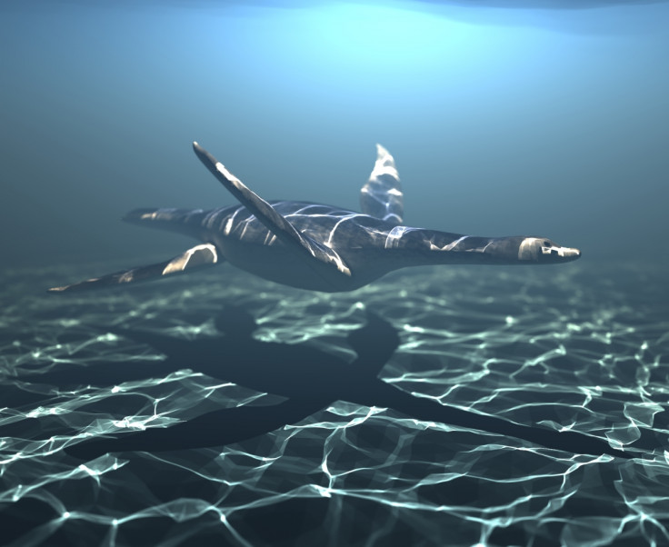 plesiosaur